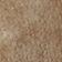 Cinnamon Crunch