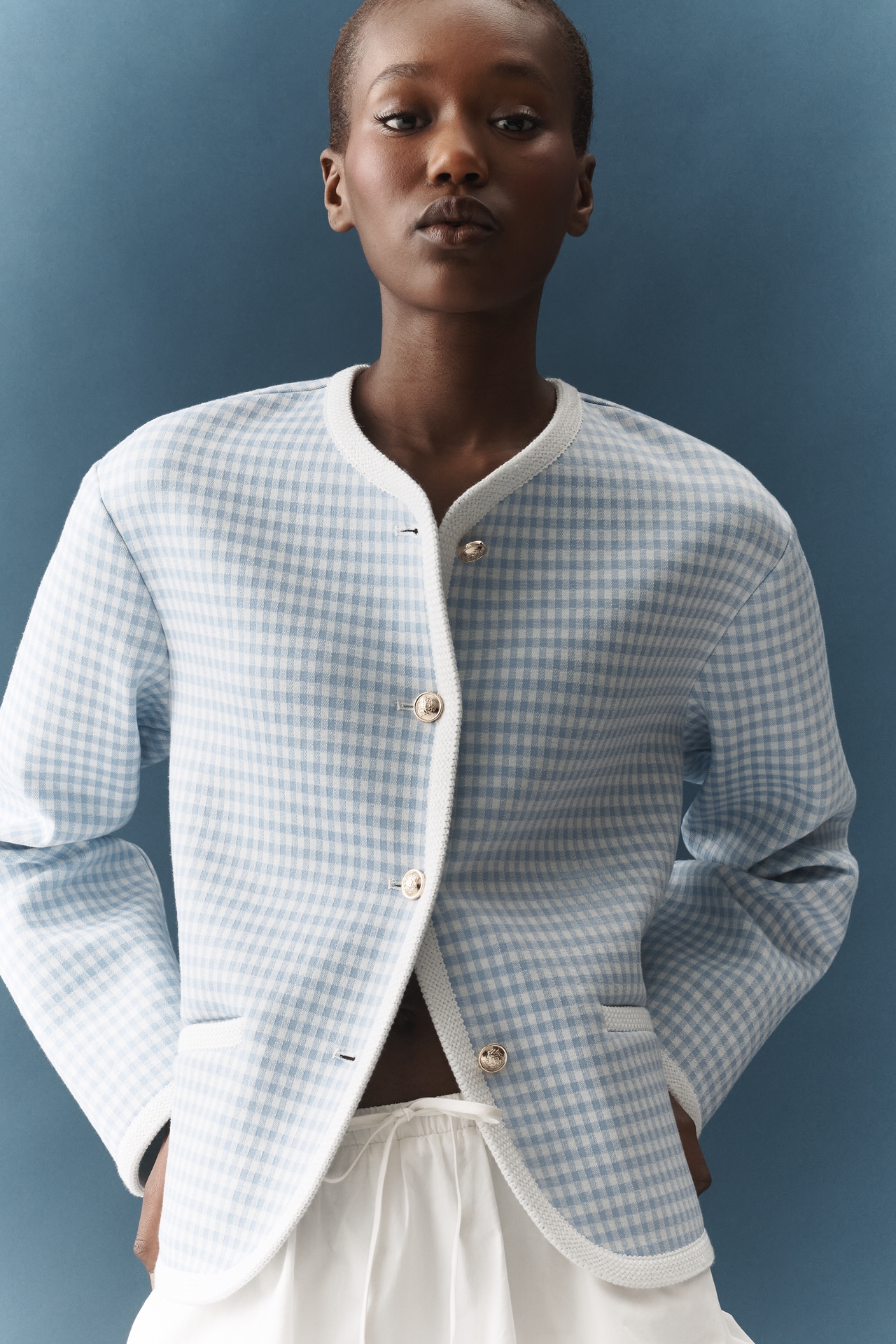 Dolan Left Coast Gingham Ponte Jacket