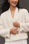 Citizens of Humanity Coren Cropped Blazer