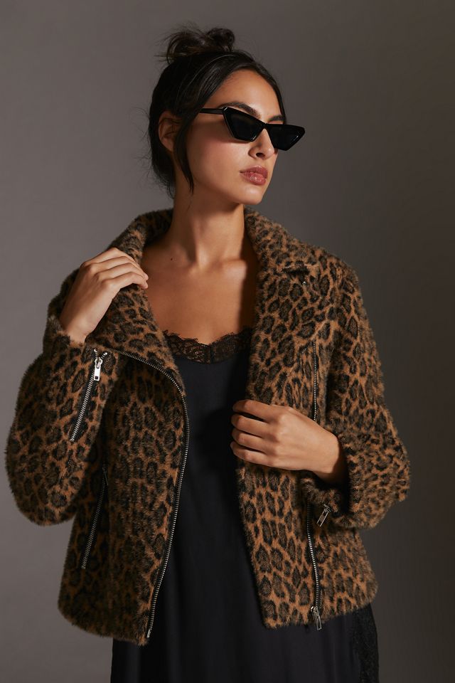 Greylin Knit Moto Jacket #3