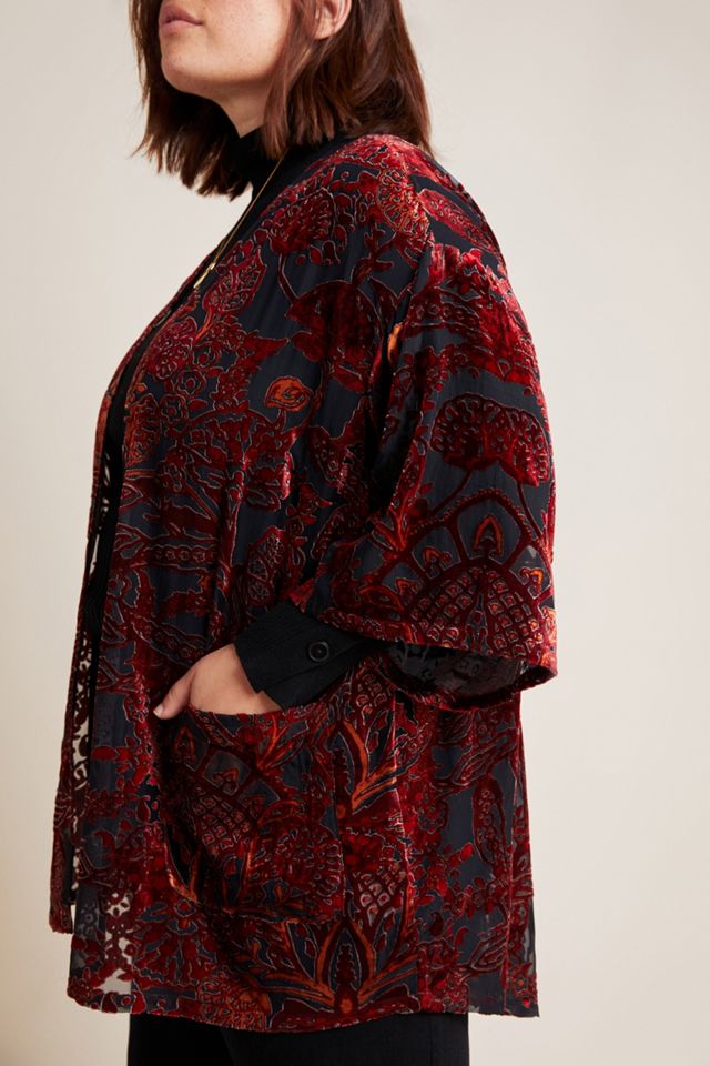 Wisteria Velvet Plus Kimono #2