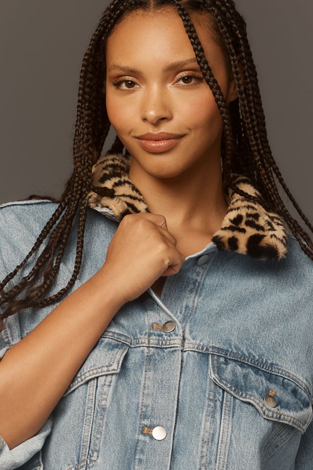 The Weston Denim Boyfriend Jacket by Pilcro: Leopard Collar