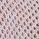 Scallop Shell