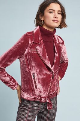 Velvet on sale moto jacket