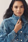 The Weston Denim Boyfriend Jacket by Pilcro: Star Print Edition