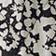 Black Floral