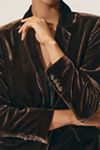 The Ettie Blazer by Maeve: Velvet Edition