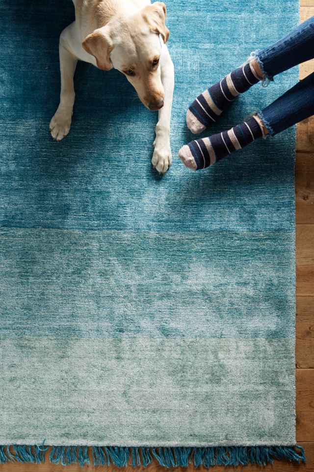 Ombre Fade Rug | Anthropologie