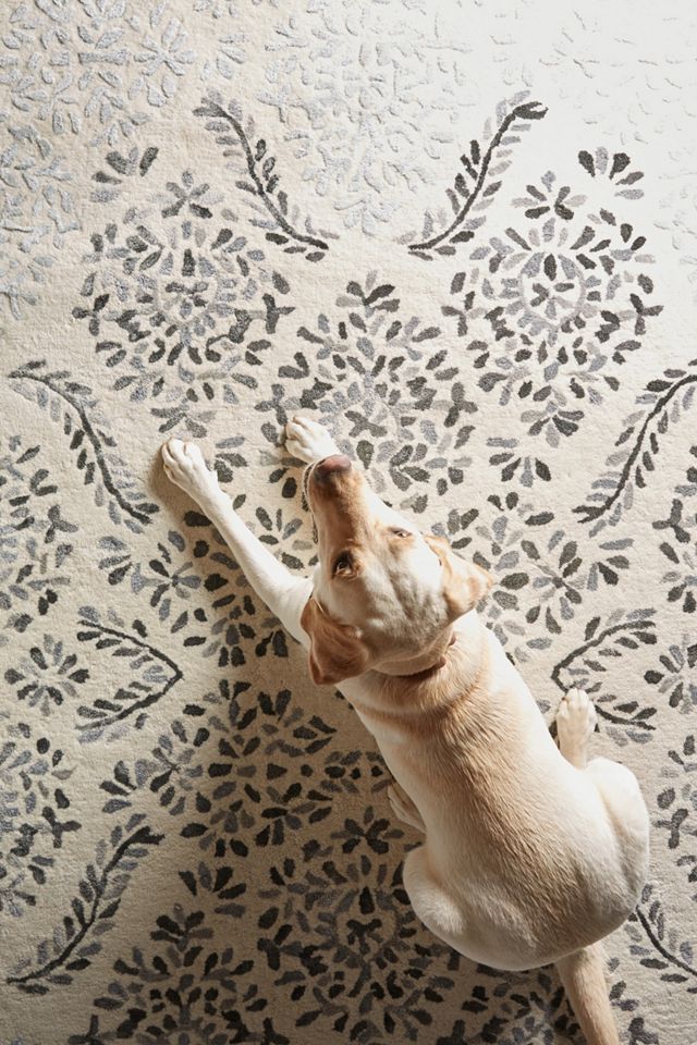 Sylvie Rug #1