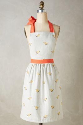 Stitched Songbird Apron