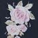 Black Pink Floral