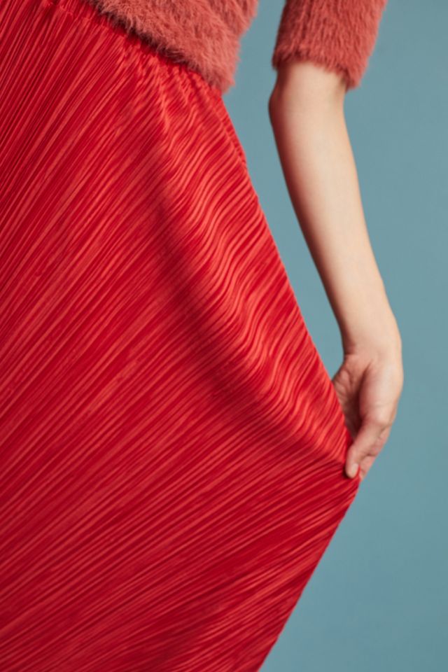 Plisse Asymmetrical Skirt #1