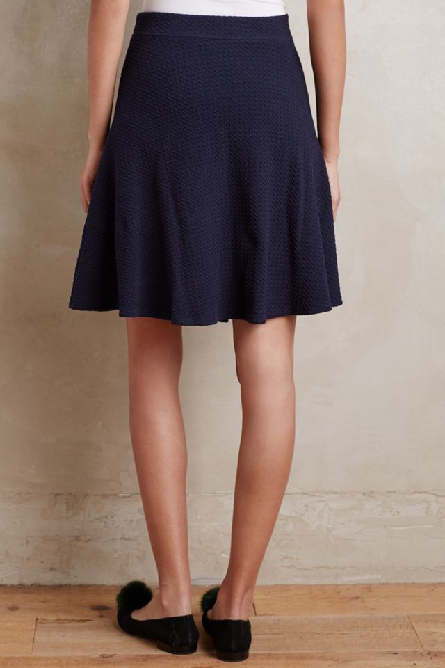 Paneled Pleats Skirt  #1