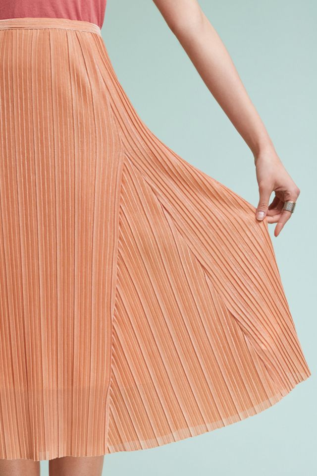 Pleated Metallic Skirt #2