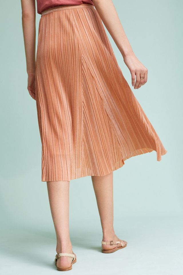 Pleated Metallic Skirt #3