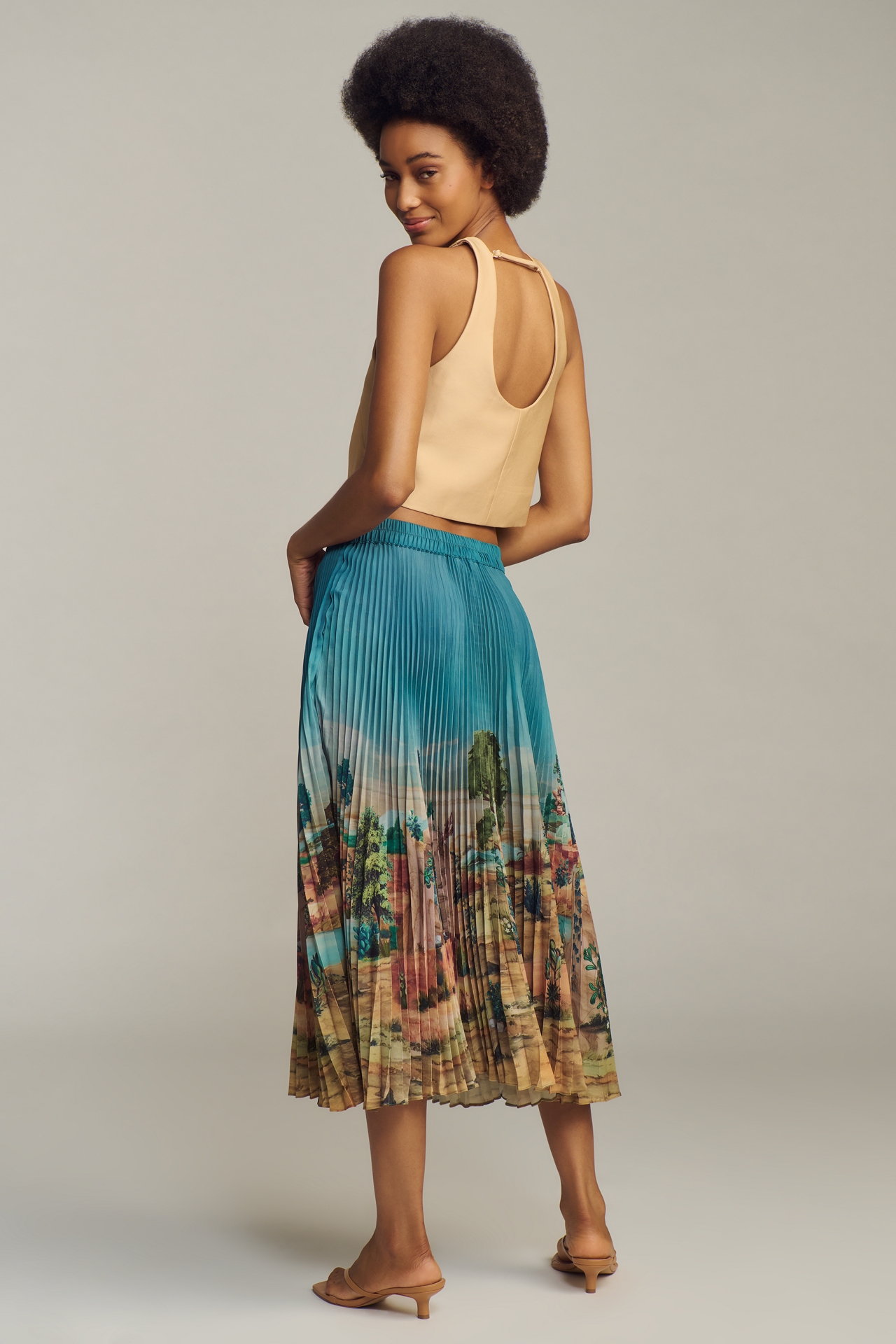 Ranna Gill Tuscany Pleated Midi Skirt