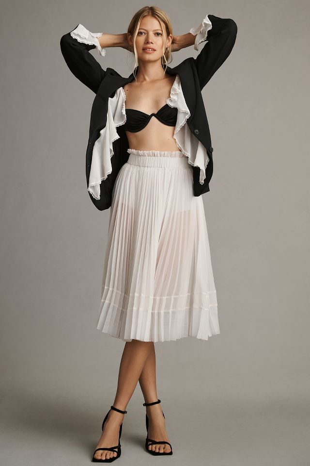 Let Me Be Sheer Pleated A-Line Skirt