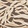 Latte Zebra