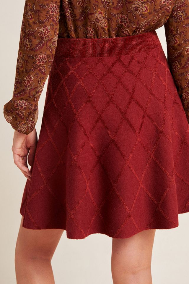 Kristina Chenille Mini Skirt #1