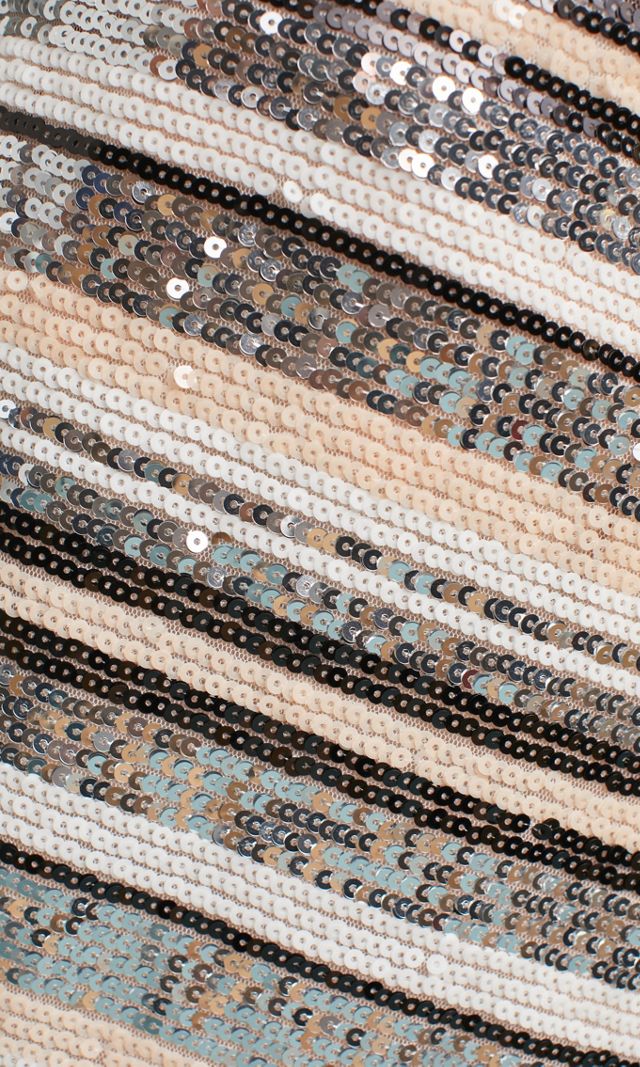 Striped Sequin Skirt #2