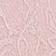Abode Rose