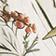 Botanical Pattern