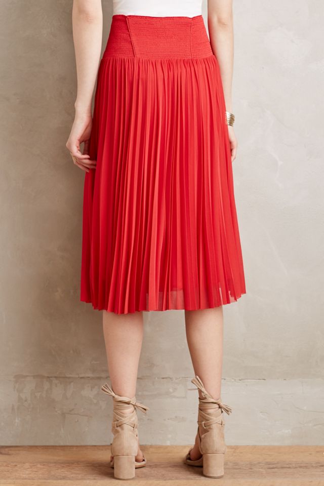 Carmina Pleated Skirt #1