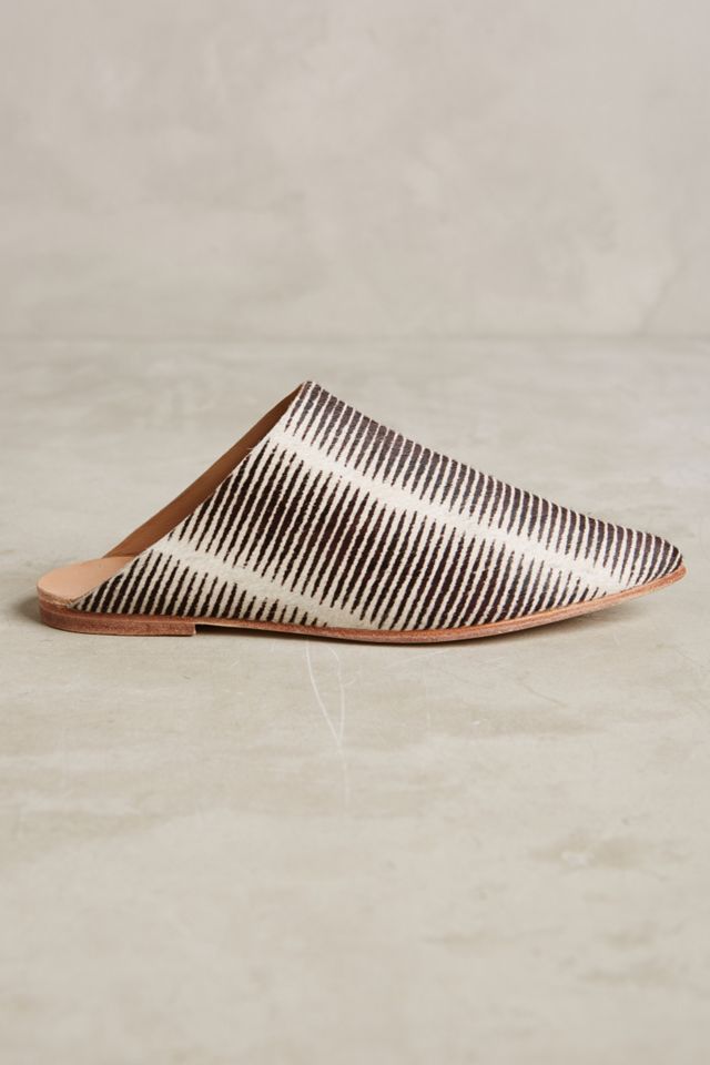 Huma Blanco Florbella Slides #1