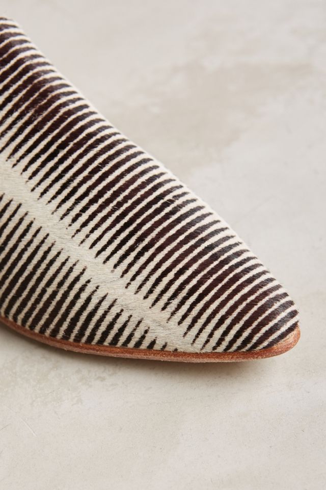 Huma Blanco Florbella Slides #3