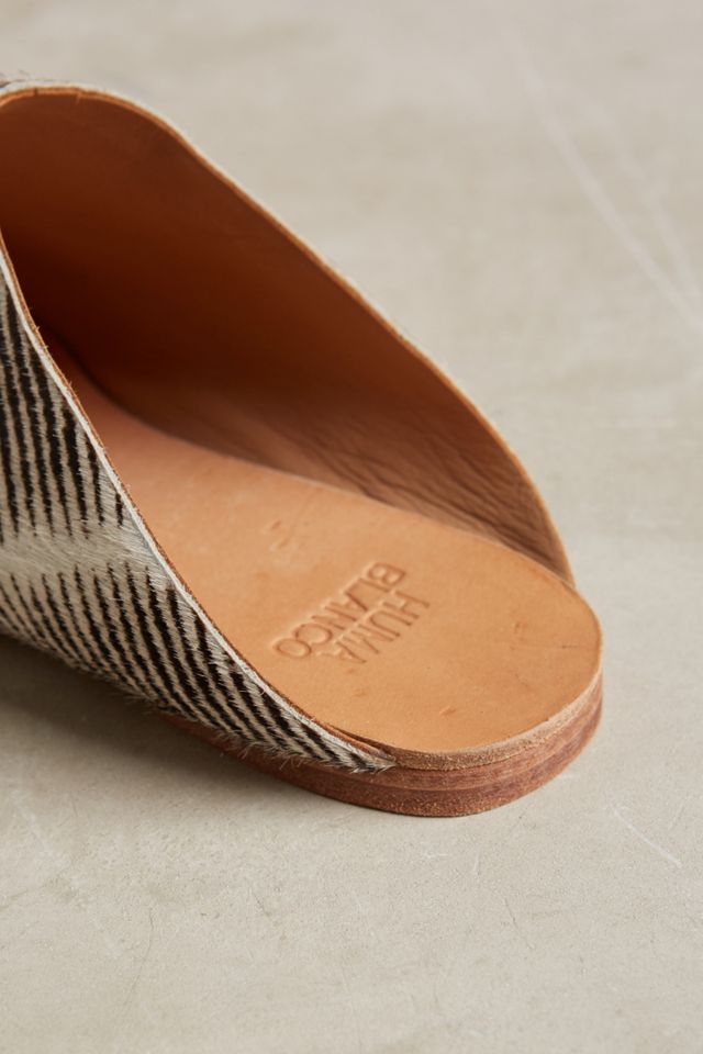 Huma Blanco Florbella Slides #4