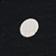 Black / White Dot