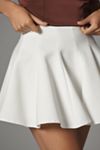 Endless Rose Mini Circle Skirt