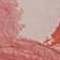 Pink Pattern