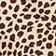 Animal Print