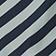 Blue Stripe