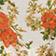 Red Floral