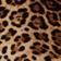 MOTIF MARRON