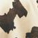 BROWN MOTIF
