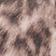 Leopard Print