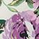 Purple Floral