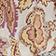 Kentish Floral Print