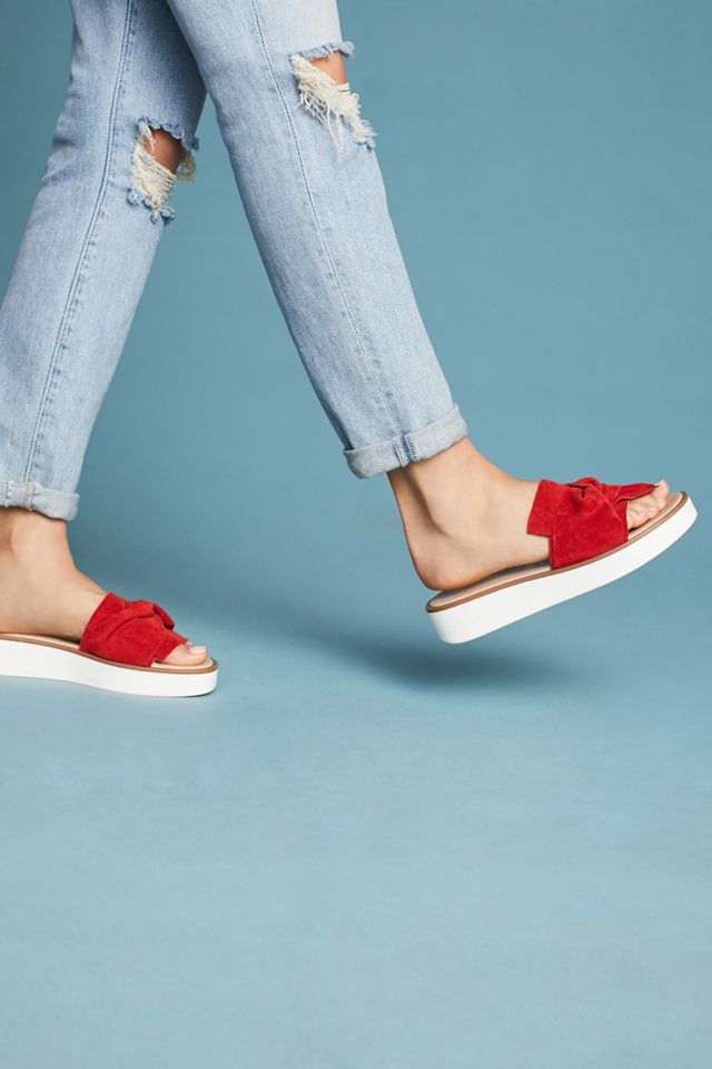 Seychelles Coast Slides #2