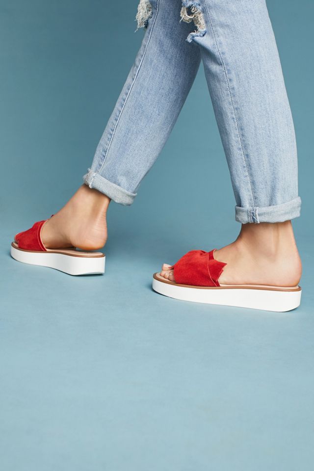 Seychelles Coast Slides #3