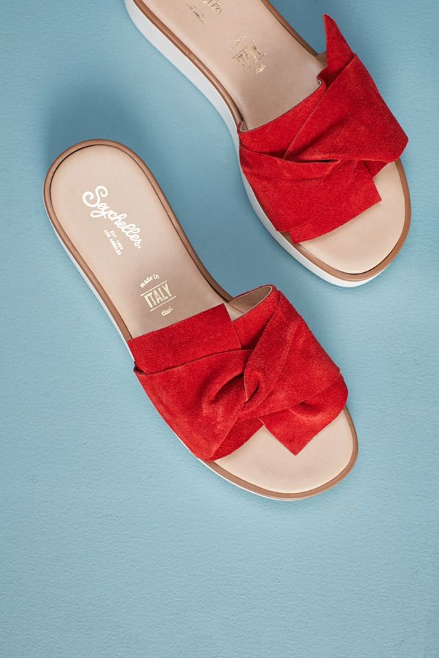 Seychelles Coast Slides #4