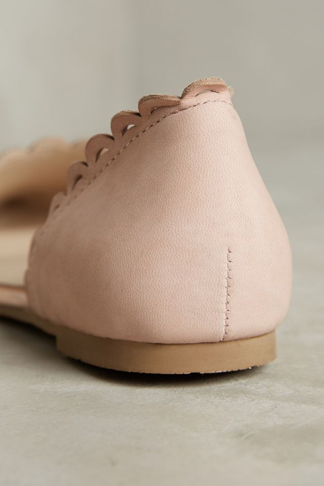 Seychelles Research Scalloped Flats #3