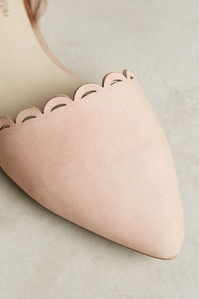 Seychelles Research Scalloped Flats #4