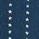 Pin Star