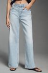 AGOLDE Low-Slung Baggy Jeans