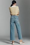 AGOLDE Ren High-Rise Crop Wide-Leg Jeans