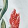 Twirly Tulips